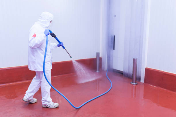 Best Deck and Patio Pressure Washing in Landis, NC