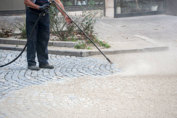 Best Window and Screen Pressure Cleaning in Landis, NC